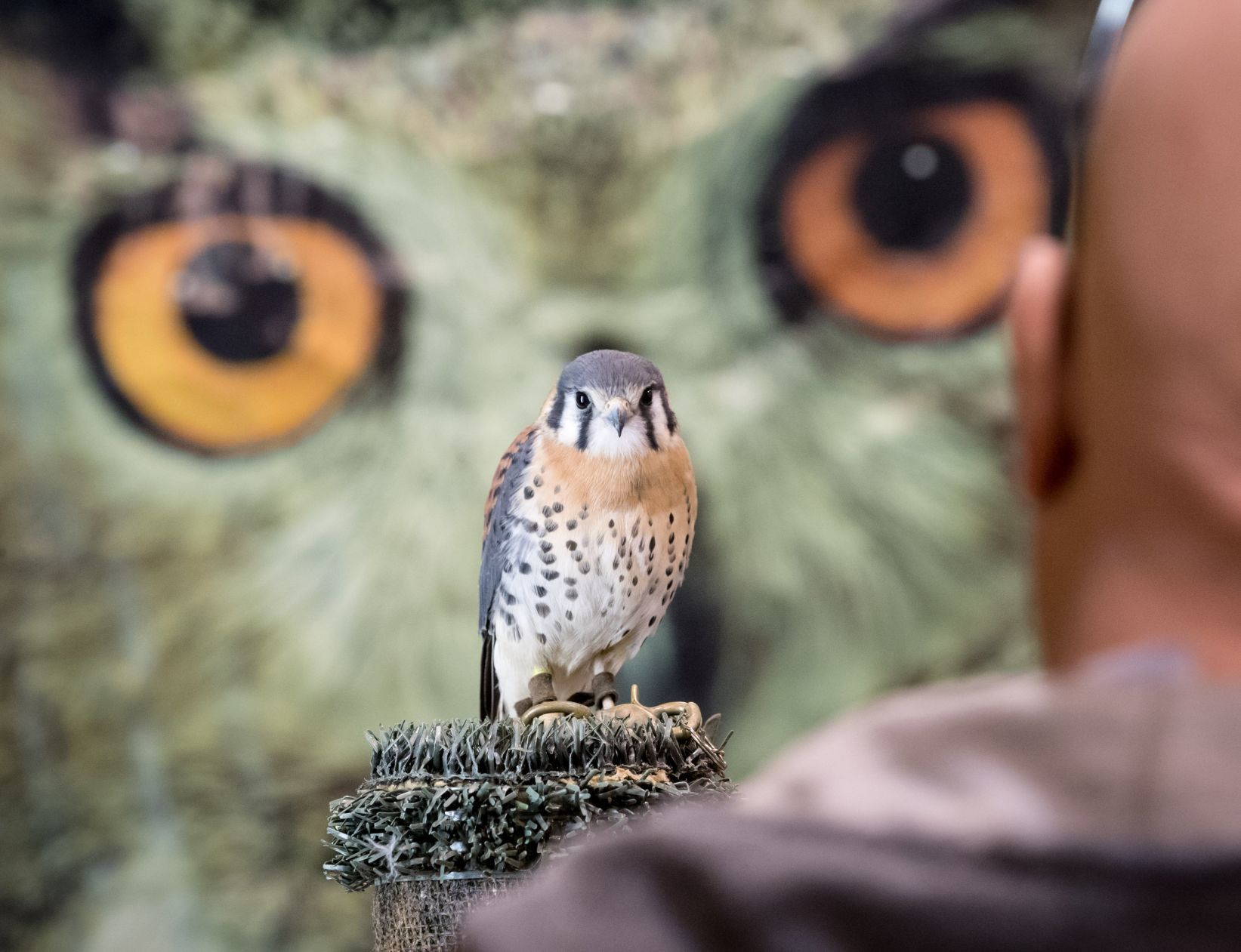 Learn about nature